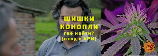 гашик Алексеевка