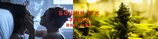 гашик Алексеевка