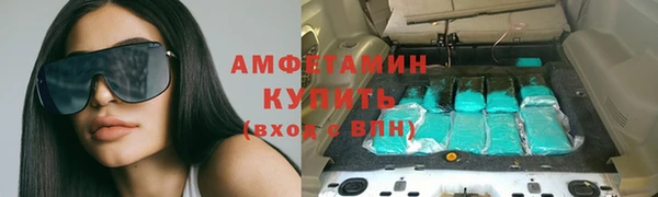гашик Алексеевка