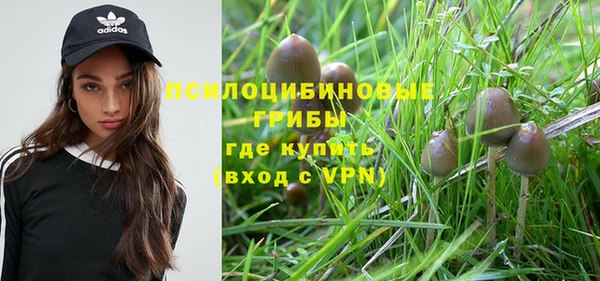 бошки Алзамай