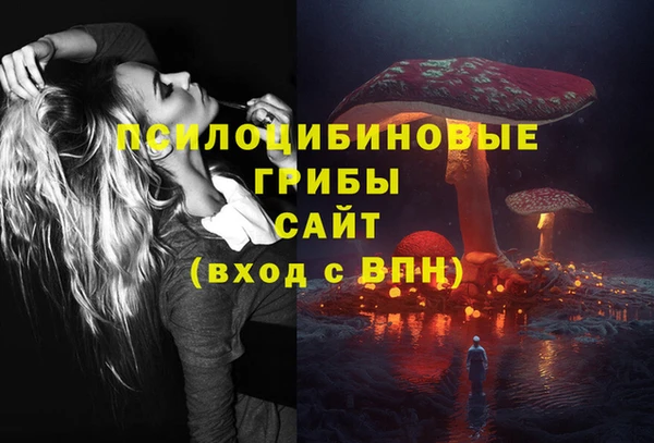 гашик Алексеевка