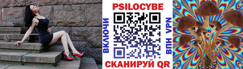 Псилоцибиновые грибы Psilocybe Симферополь